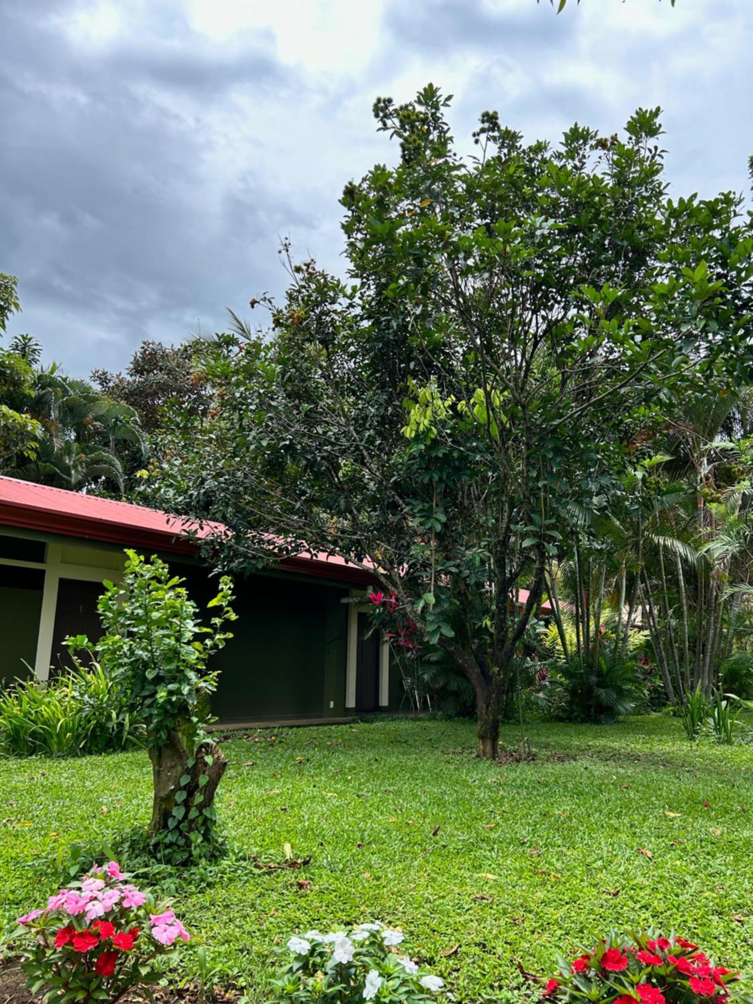 B&B Garden Grecia Exterior photo