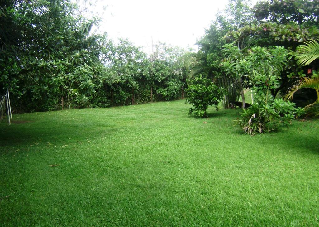 B&B Garden Grecia Room photo