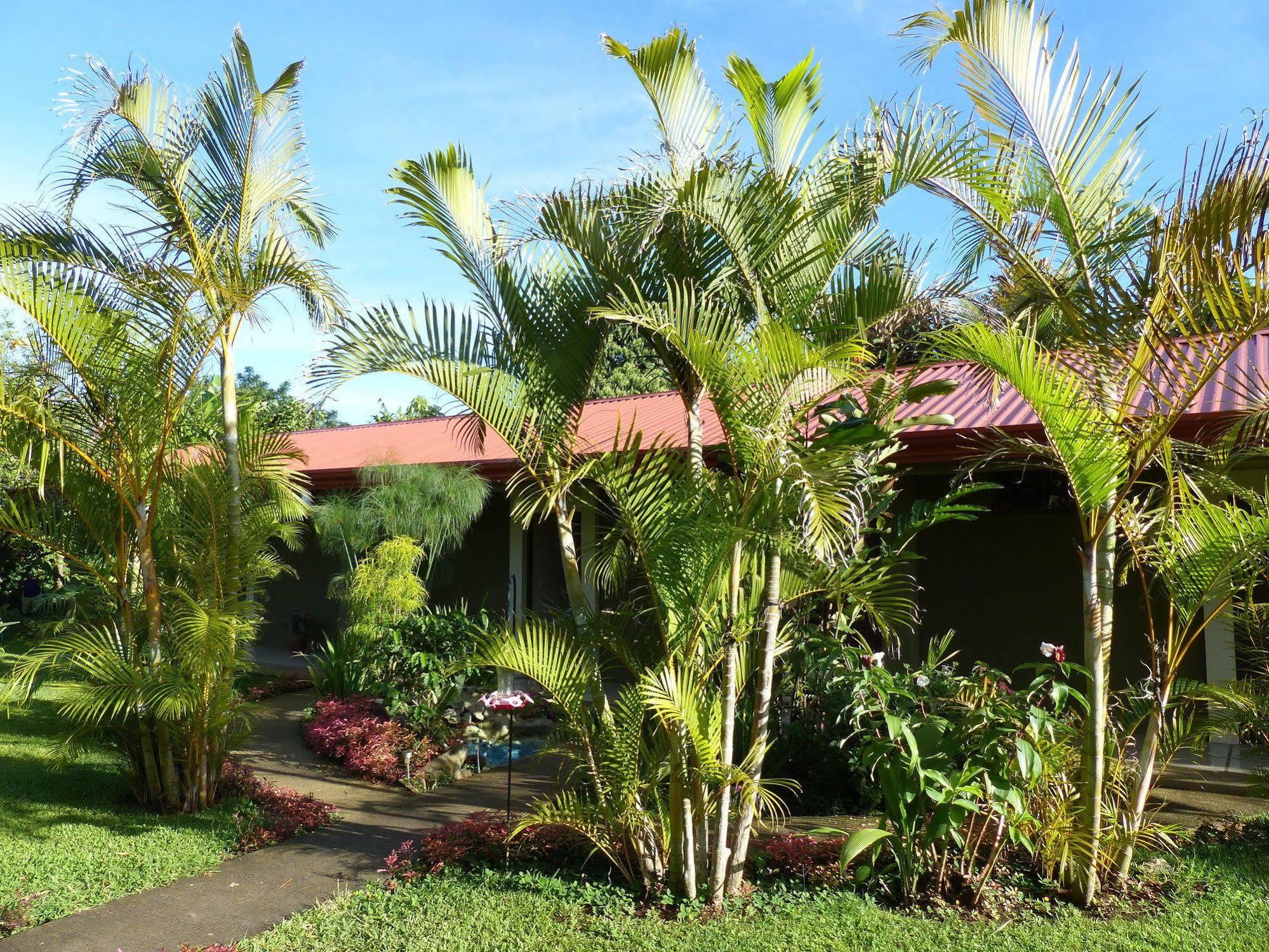 B&B Garden Grecia Exterior photo